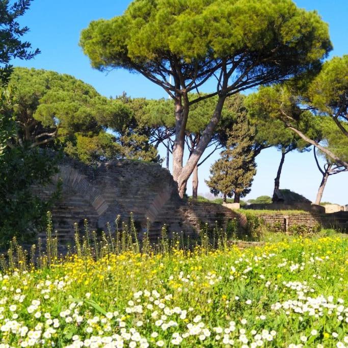Apartmán Per Antiqua Itinere Ostia Antica Exteriér fotografie